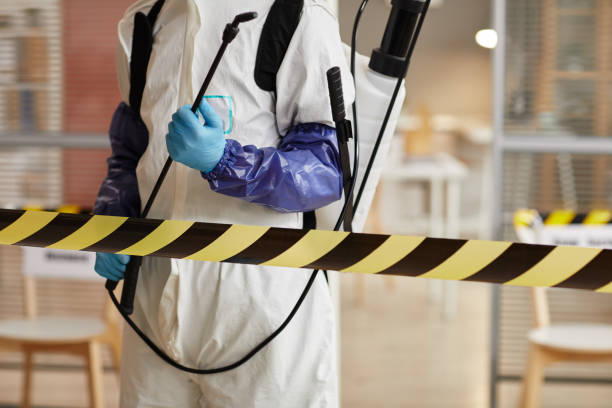 Professional Sewage Cleanup technician working in Wainscott, NY